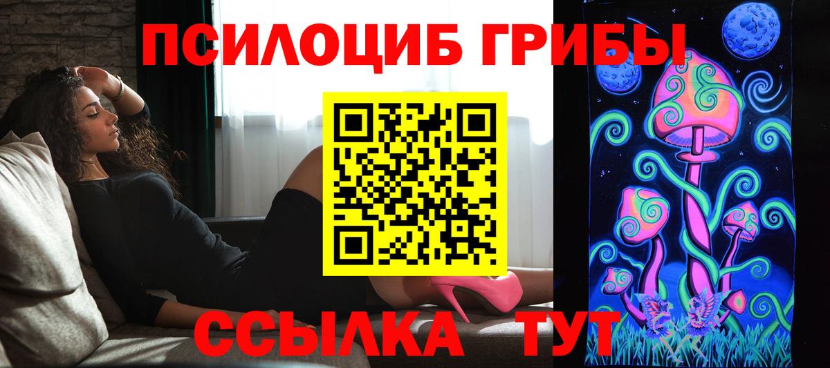 Галлюциногенные грибы Cubensis  Вход с VPN  Можга  Галлюциногенные грибы Cubensis 